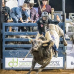 Lachlan Richardson marks 81.50pts on board 'Ariats Ol Son' to split third place after the first section of the Mount Isa Mines Bull Ride
