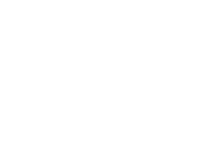Brown_Bros_logo_REV