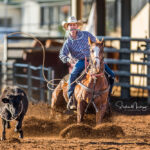 MI215651-Yeppoon cowboy Aaron Leahy and 'Cruz' stop the clock in 14.80 ses in 2nd round of the 1st section of Rope an Tie