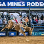 MI222131-Tyler Chong wins the inaugural Mount Isa Mines Saddle Bronc Championship with a 71pt ride