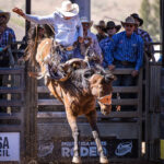 MI228121-Scone NSW cowboy Sam Randlemarks 69pts in the final for an aggregate 139pts and is the 2022 2nd Divi Saddle Bronc Champion