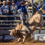 MI228937-Barcaldine cowboy Jackson Gray marks the highpoint ride of 85pts on board 'Hellraiser' in the short go to win the Mount Isa Mines Open Bull Ride Championship title